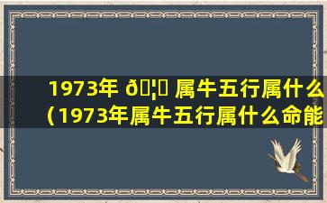 1973年 🦍 属牛五行属什么（1973年属牛五行属什么命能住8楼吗）